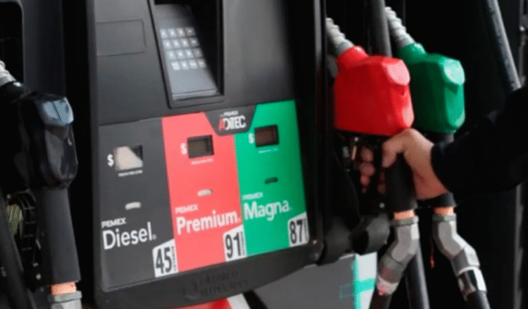 Diferencias entre gasolina regular, premium y diésel